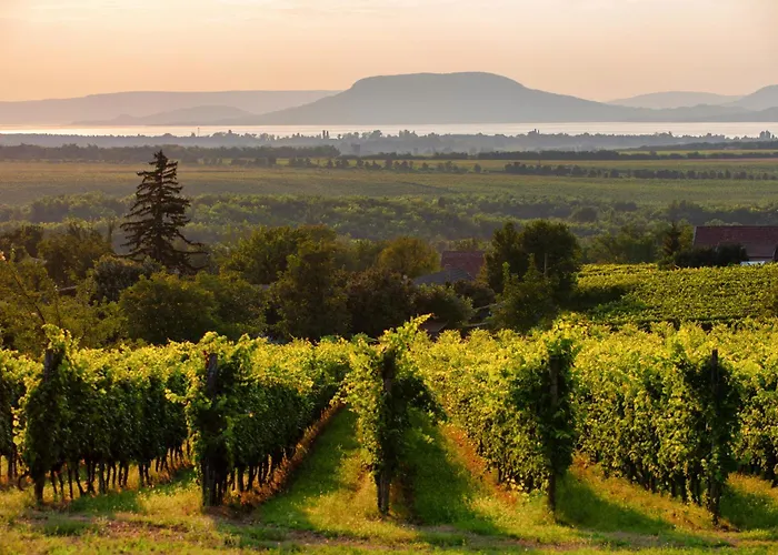 Waterfront In 55159 アパート